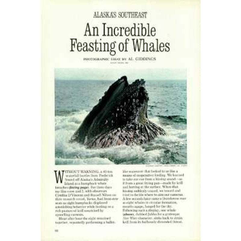 National Geographic January 1984 -Catalonia, The Queen of Textiles, Sunken Realm of Australia, Southeast Alaska, Whales...
