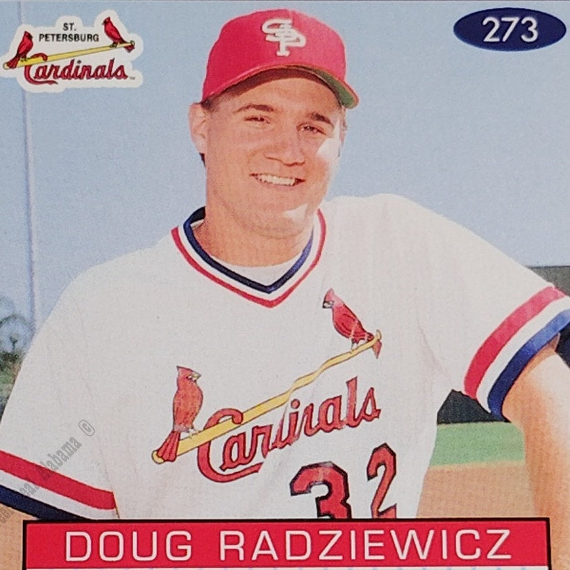 Doug Radziewicz, St. Petersburg Cardinals, #273, 93-94 Fleer Excel Minor Leagues