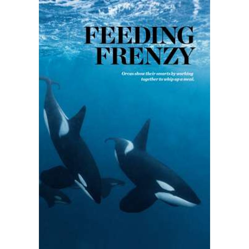 National Geographic July 2015, Ebola Virus, Gandhi's Legacy, Destination Pluto, Food Trucks, Orca Feeding Frenzy, Mountain Men, LN