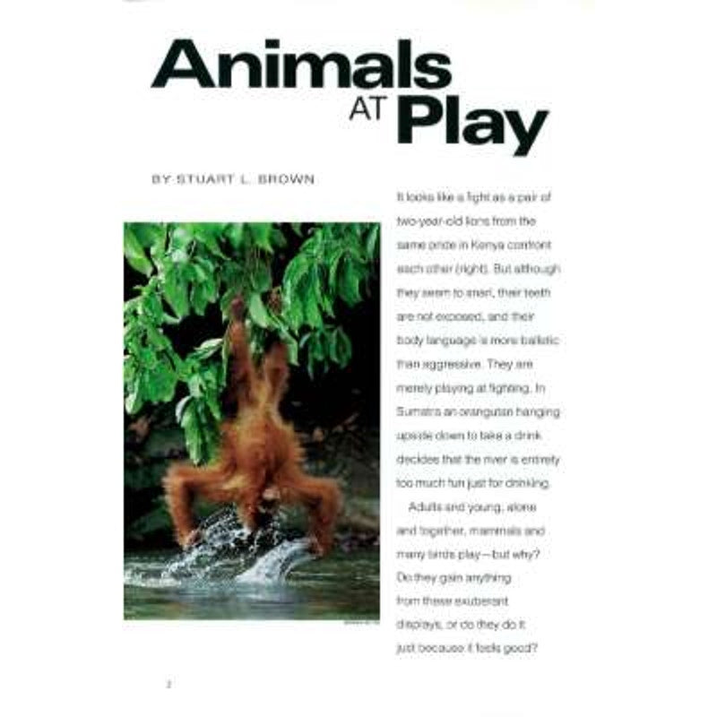 National Geographic December 1994, Animals at Play, Canada's Highway of Steel, C.S.S. Alabama, Buenos Aires, America's Poet: Walt Whitman, EUC