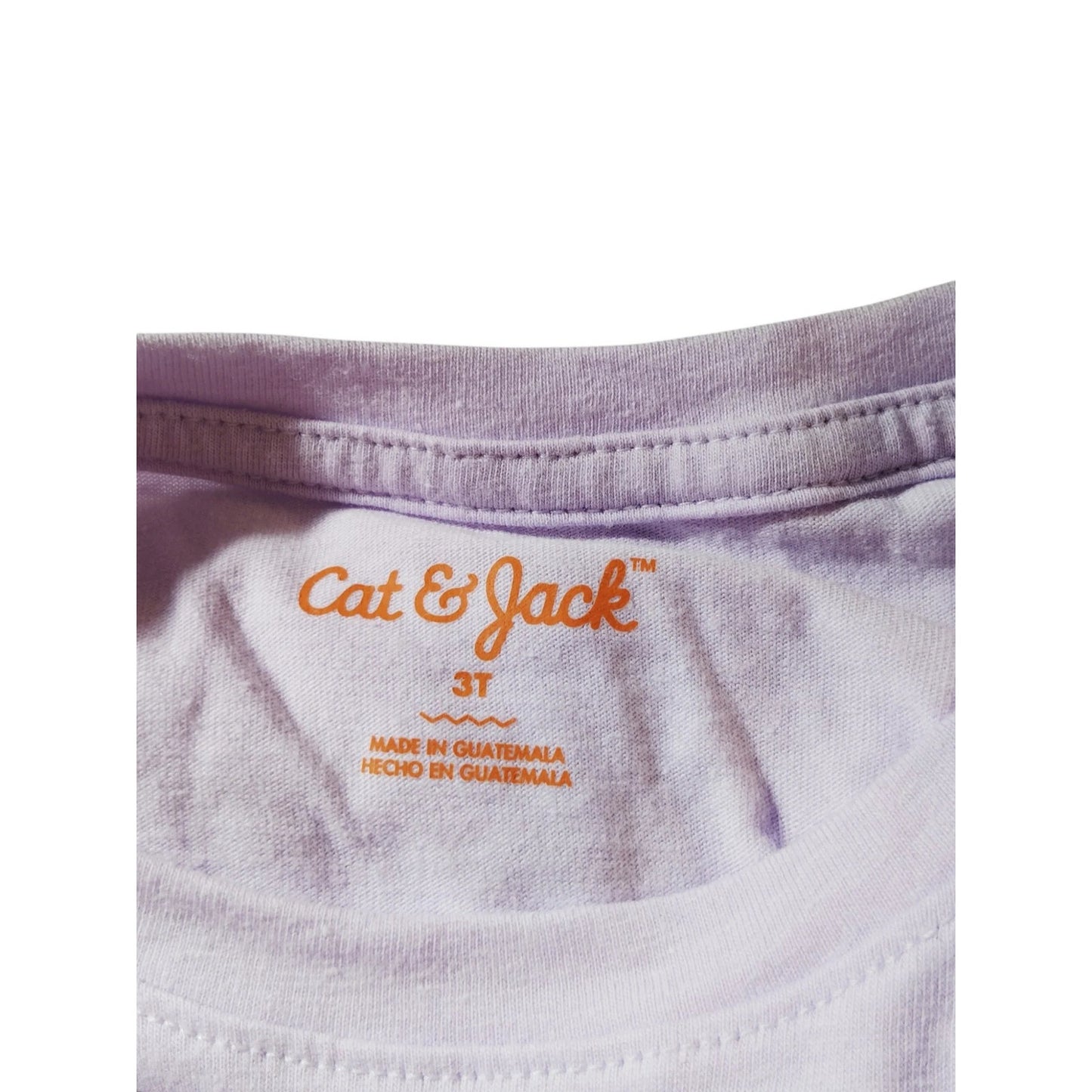Cat & Jack Toddler 3T Girls' Glitter Ballerina Long Sleeve Graphic T-Shirt | Light Lavender/Purple