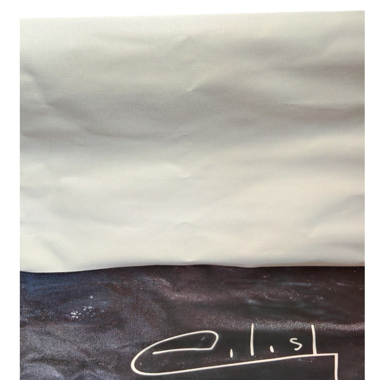Eilish No.2 Canvas Art Print – Billie Eilish Poster, 16" x 24" Unframed, Music Wall Décor