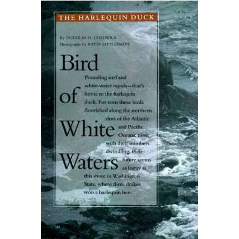 National Geographic Nov. 1993 -Red Sea, Alaska, Olmec, Taiwan, Harlequin Ducks
