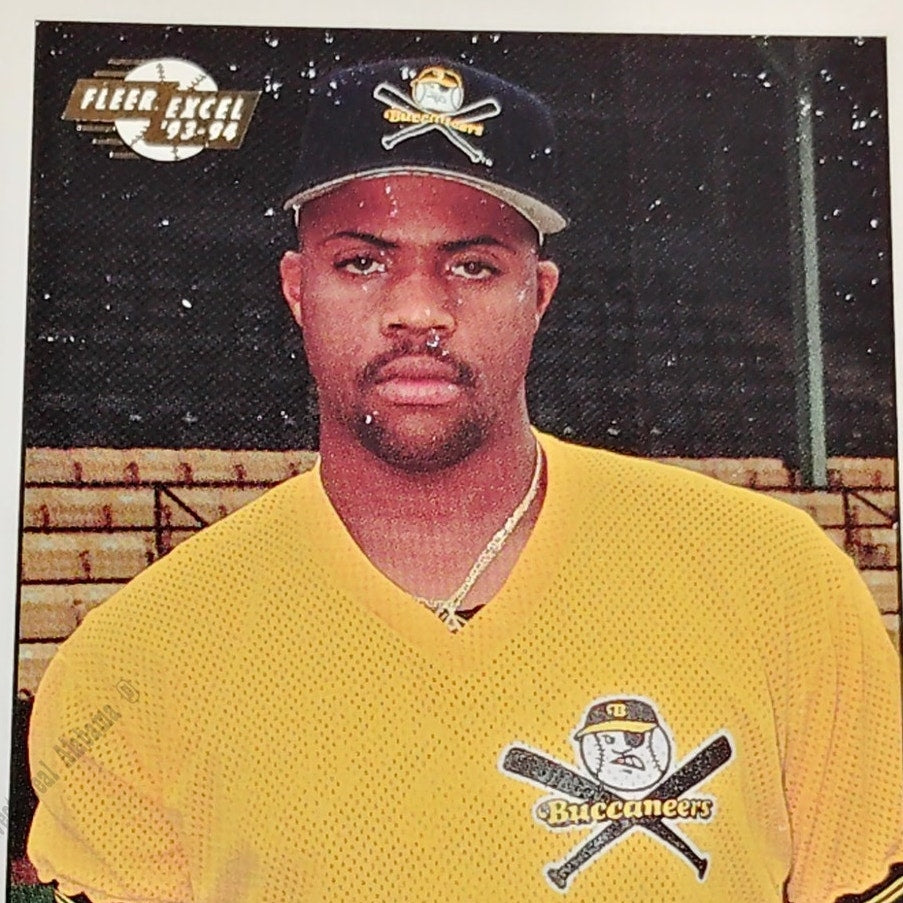 Michael Brown, Salem Buccaneers, No. 251, 93-94 Fleer Excel Minor Leagues