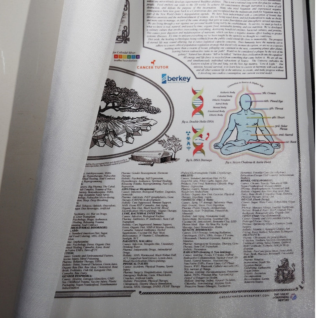 The Healing Web Canvas Print Holistic Health, Alternative Medicine & Wellness, 16x12" Unframed