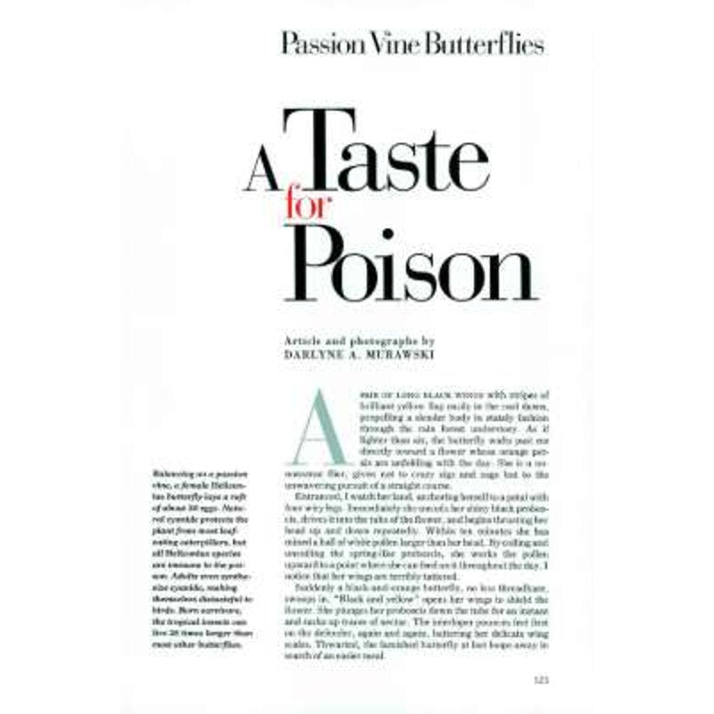 National Geographic DEC 1993, Glass, Himalayan Caravans, Superior Life, St. Petersburg, Passion Vine Butterflies, EUC