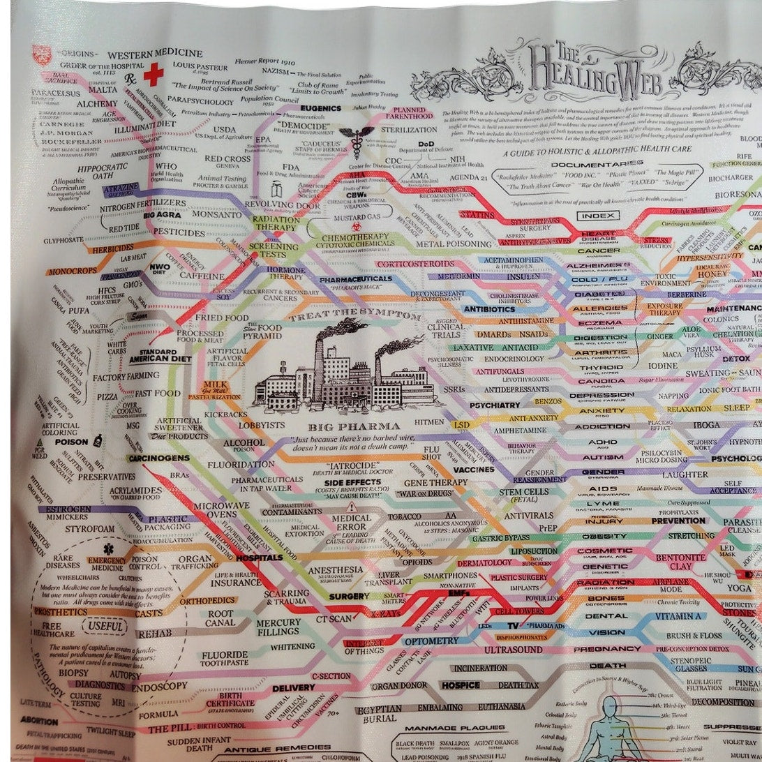 The Healing Web Canvas Print – Holistic & Allopathic Health Care Chart, 24x16" Unframed Wall Art