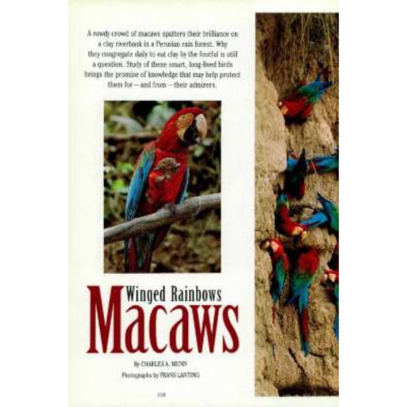 National Geographic Magazine JAN 1994, Great Flood '93 Macaws Kyushu Des Moines