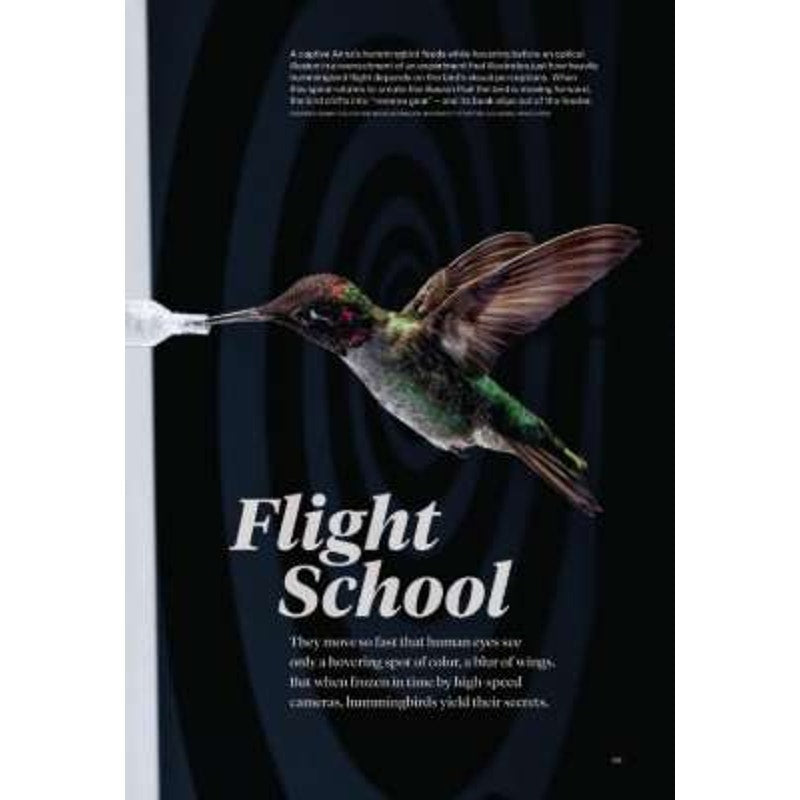 National Geographic July 2017 Antarctica, Crisis on Ice, Beauty Below Ice, Honey Hunter, Flight School, Making of Massacre, Yellow River, LN