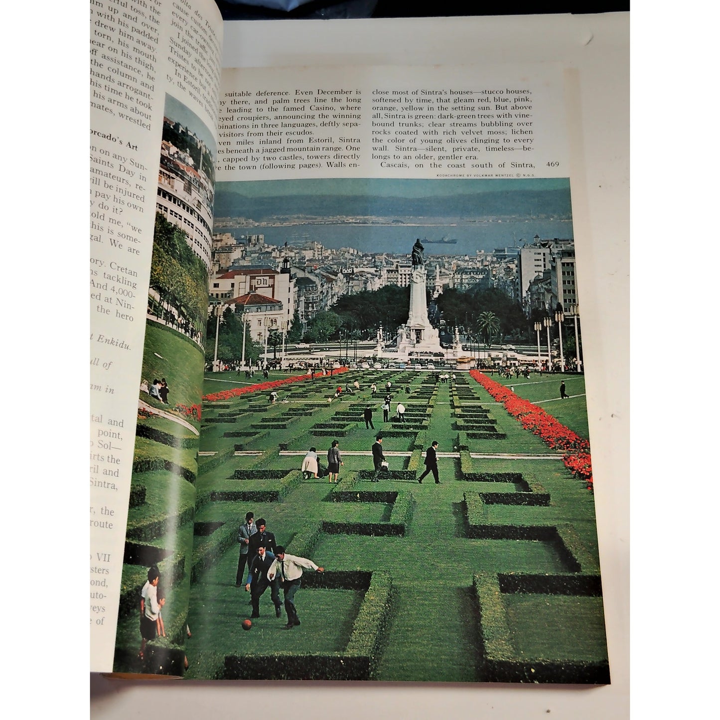 National Geographic – October 1965 | Portugal, Mustang & Fungi, Largest Birds
