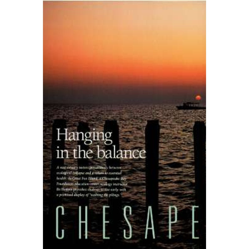 National Geographic June 1993 -Chesapeake Bay, Silence of the Songbirds, The Iceman, Bangladesh: When Water Comes, Corn: The Golden Grain...
