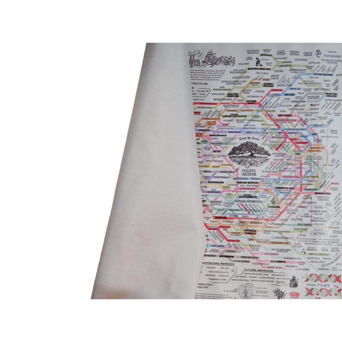 The Healing Web Canvas Print – Holistic & Allopathic Health Care Chart, 16x12" Unframed Wall Art