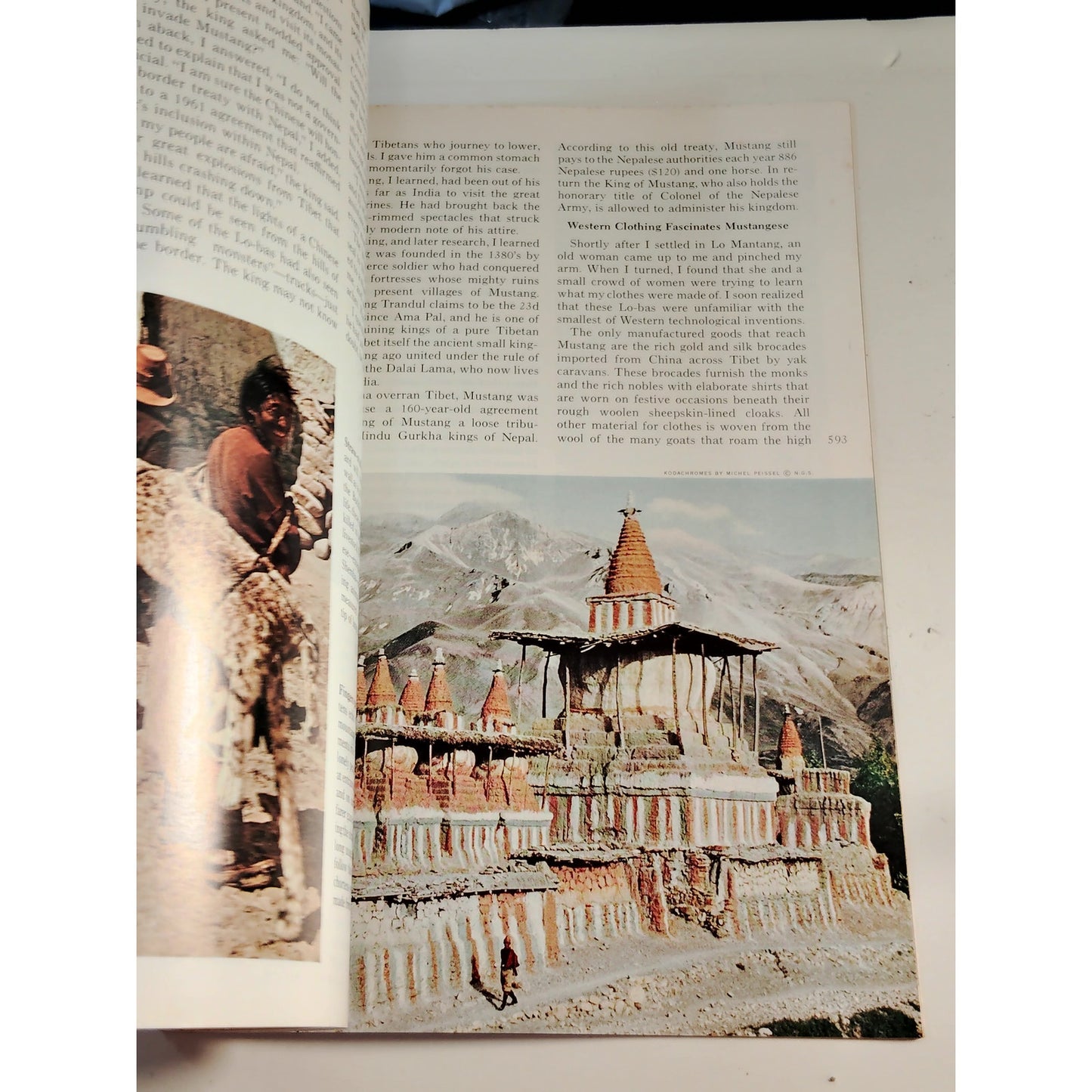 National Geographic – October 1965 | Portugal, Mustang & Fungi, Largest Birds