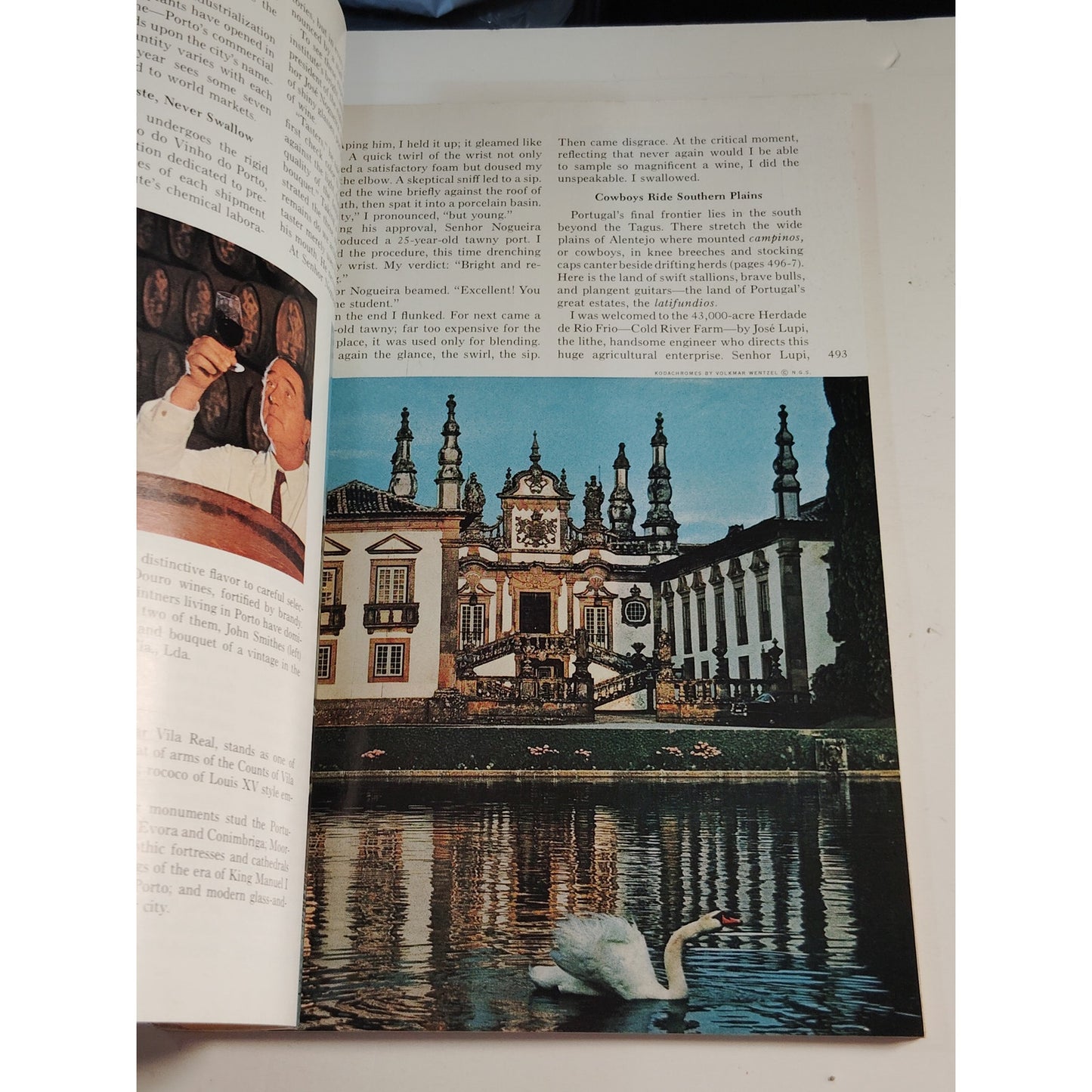 National Geographic – October 1965 | Portugal, Mustang & Fungi, Largest Birds