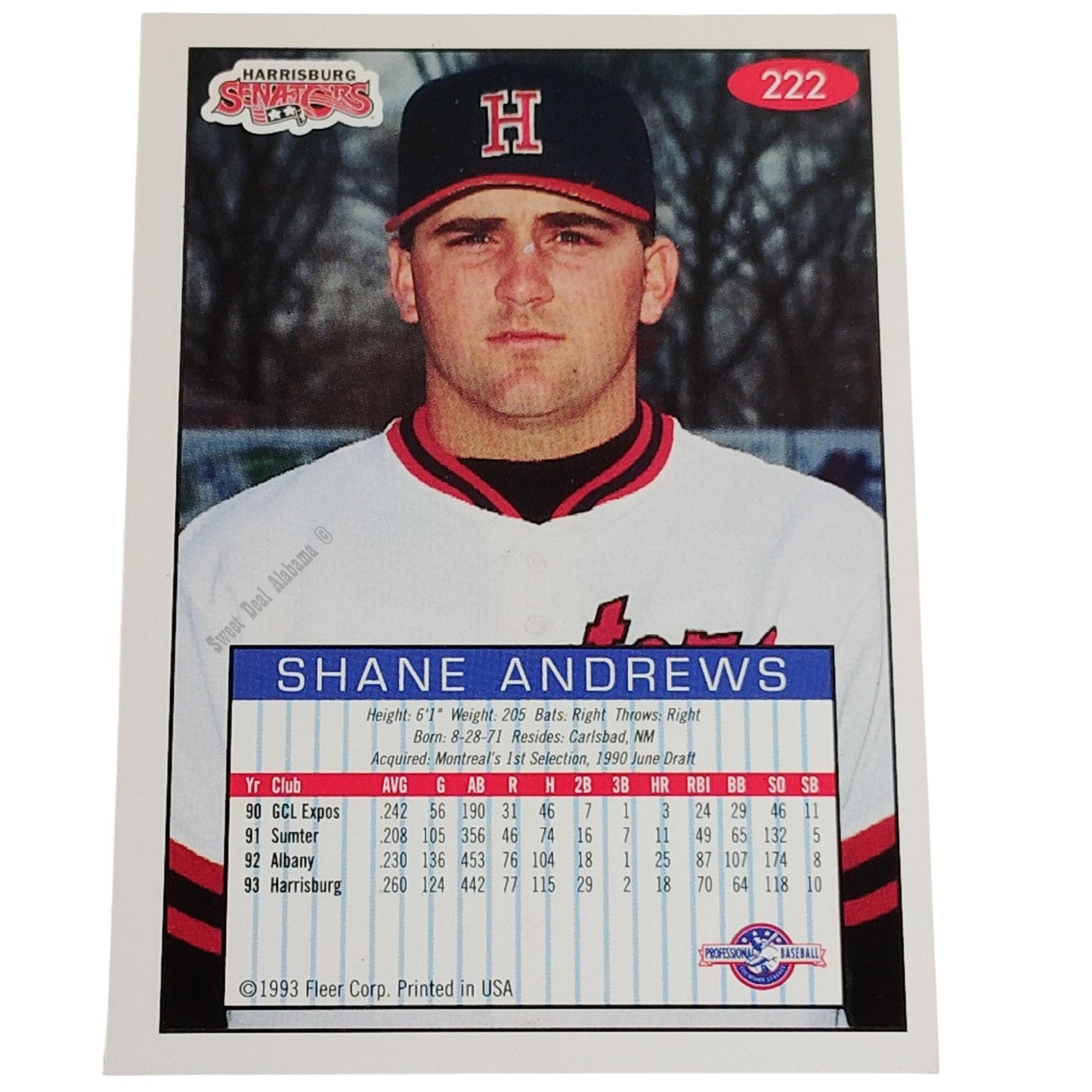 Shane Andrews, Harrisburg Senators, No. 222, 93-94 Fleer Excel Minor Leagues