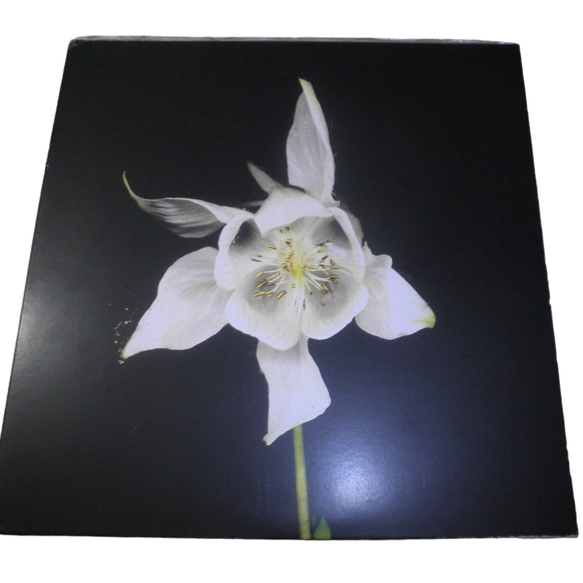 FRIDGE HAPPINESS – ANNIVERSARY EDITION, Black, Vinyl LP2 Only. Limited Edition