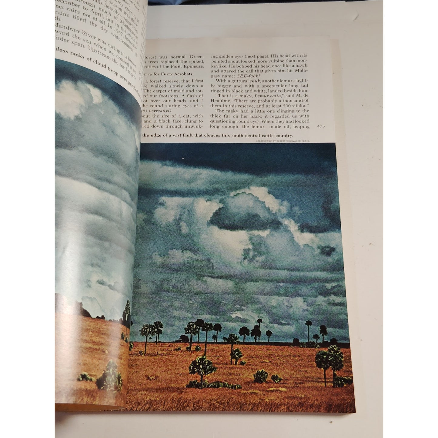 National Geographic Magazine October 1967 | Madagascar, Everglades & Monsoon Sea