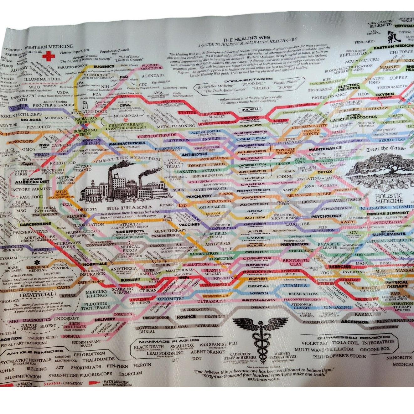 The Healing Web Canvas Wall Art – Natural Remedies Chart Poster, Horizontal Print, 24x16" Unframed