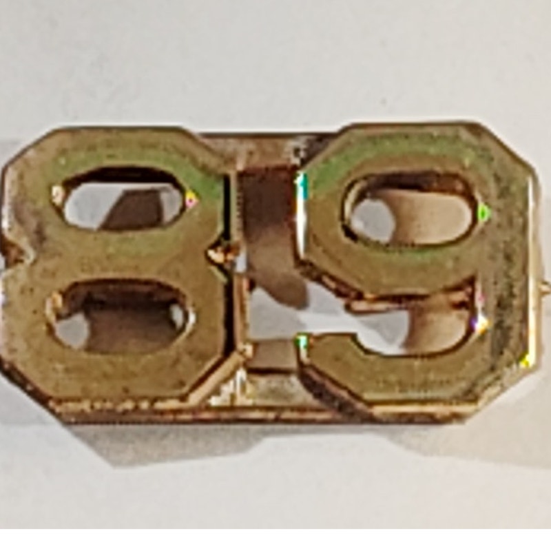Early/Mid 1900s Brass C-Clasp "89" Collar Devices 3/8"H Hat / Lapel Pins Set