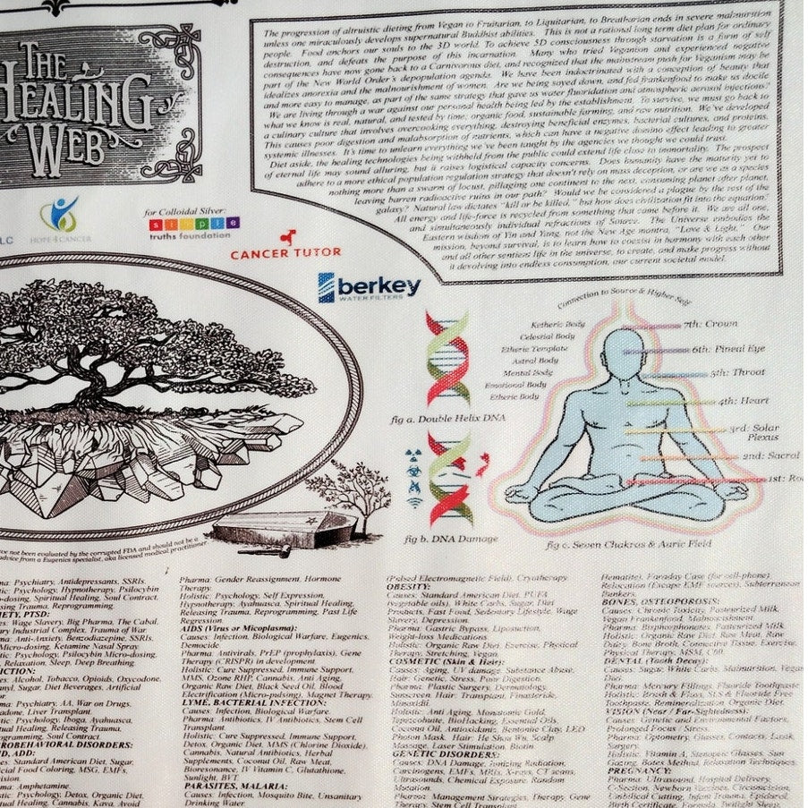The Healing Web Chart Poster – Natural Remedies Canvas Print, 16x24" Unframed, Holistic Wall Art