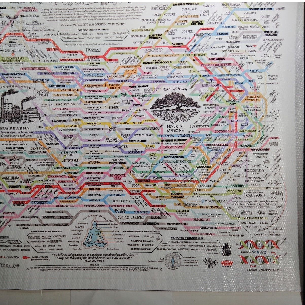 Holistic Medicine vs Big Pharma Flowchart Canvas Print – Educational Health Chart (Unframed, 18x12")