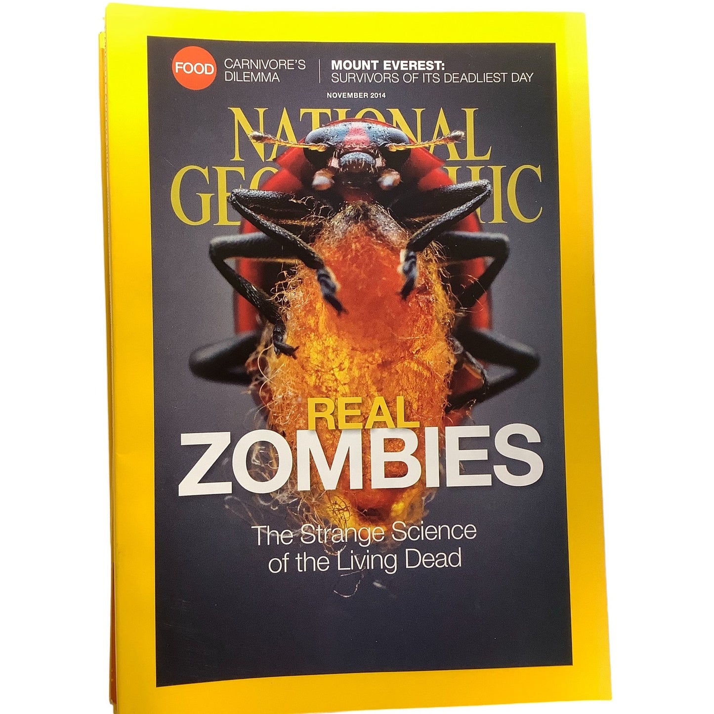 National Geographic November 2014, Real Zombies – The Strange Science, Carnivore’s Dilemma, Mount Everest: Survivors of it’s Deadliest Day, LN