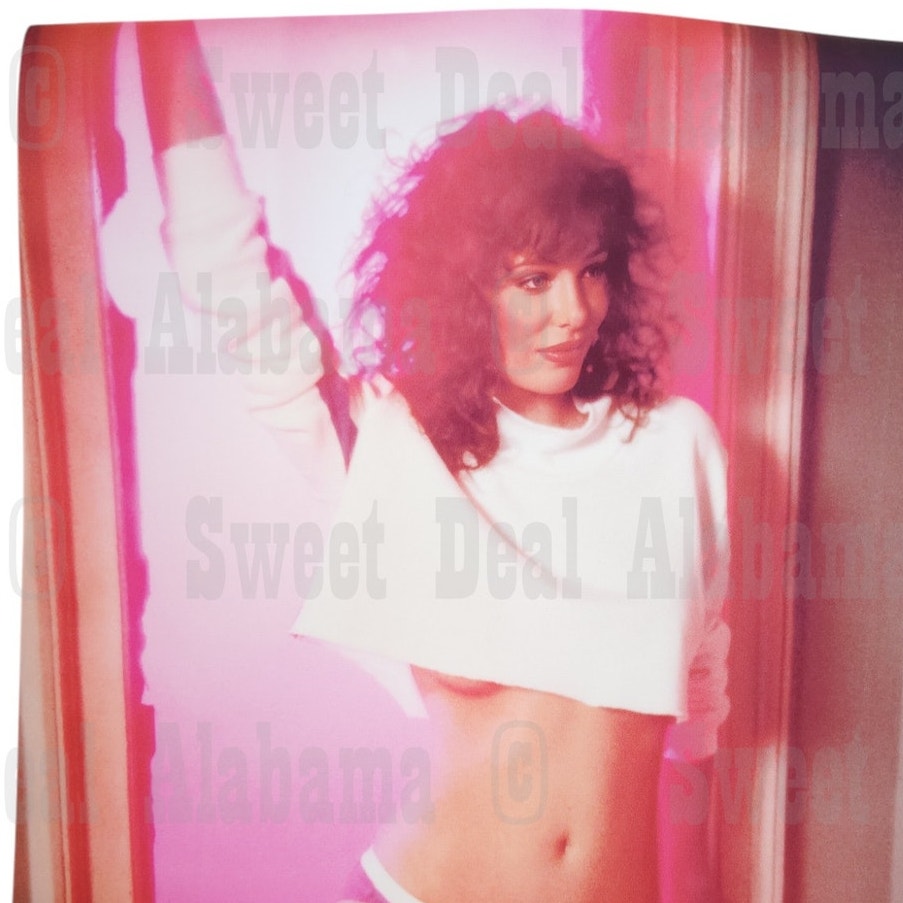 Weird Science – Kelly LeBrock 11” x 17” Canvas Print of Movie Poster – Unframed