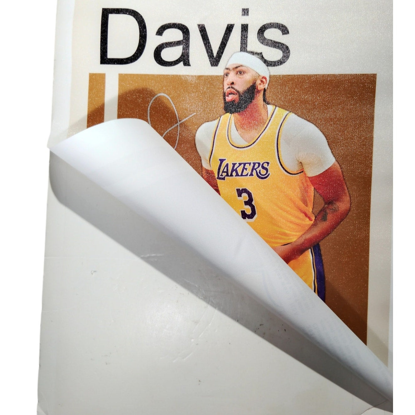 Anthony Davis Los Angeles Lakers Canvas Art, Basketball Print, 12x16" Unframed