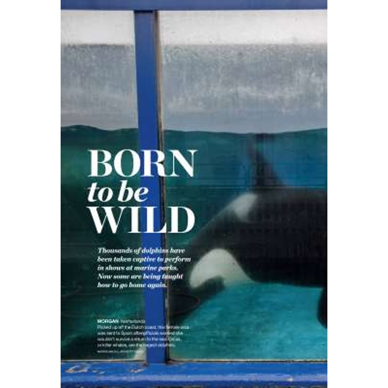 National Geographic June 2015, Weed Science, Captive Dolphins, Aral Sea, Nepal's Goddesses, Iceman Autopsy, Africa's Albertine Rift, LN