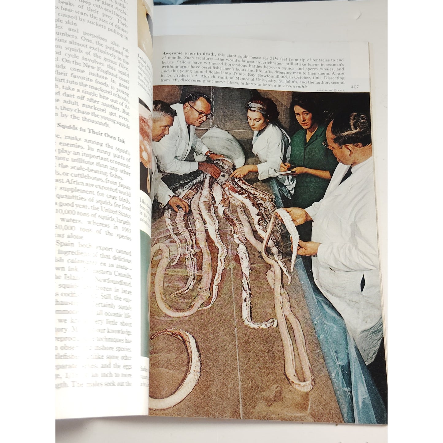 National Geographic Magazine – March 1967 | Siberia, Squids & Guadalajara