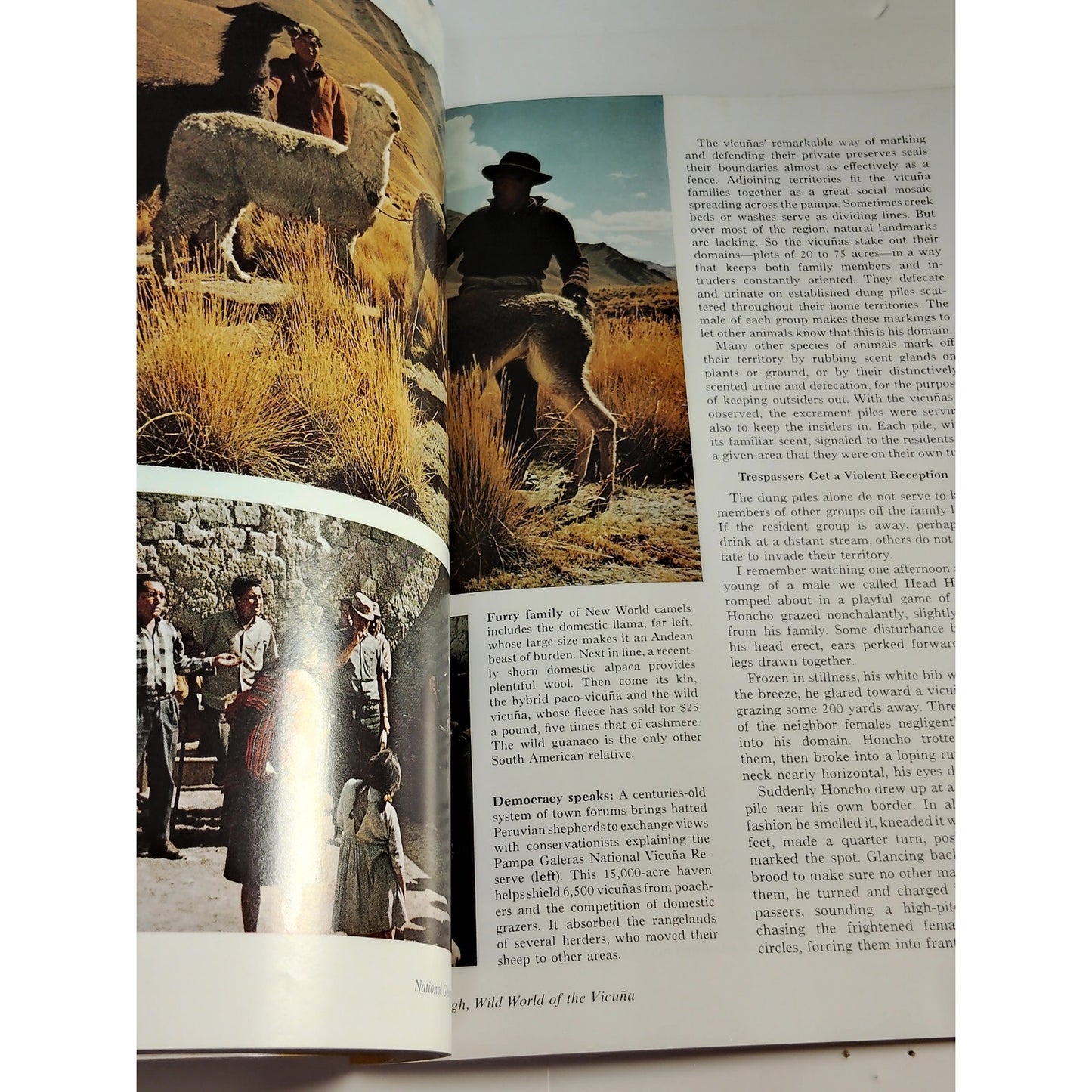 National Geographic January 1973, Wildlife Tracking, San Andreas Fault, Ethiopia