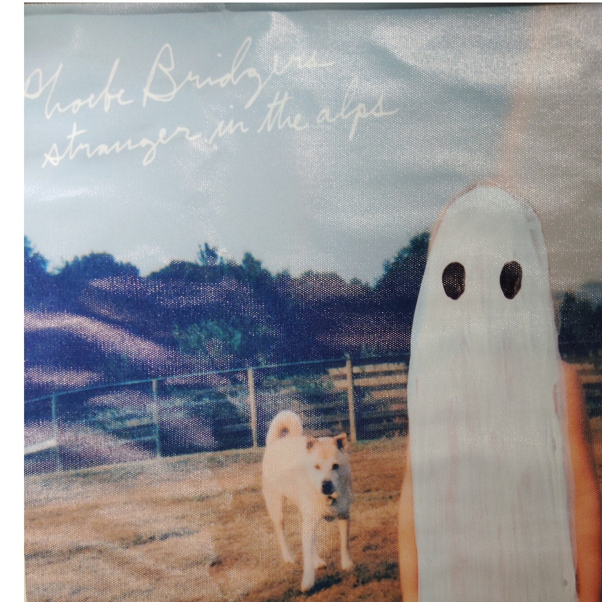 Phoebe Bridgers – Stranger in the Alps Canvas Print (12x18", Unframed Indie Album Art Print)