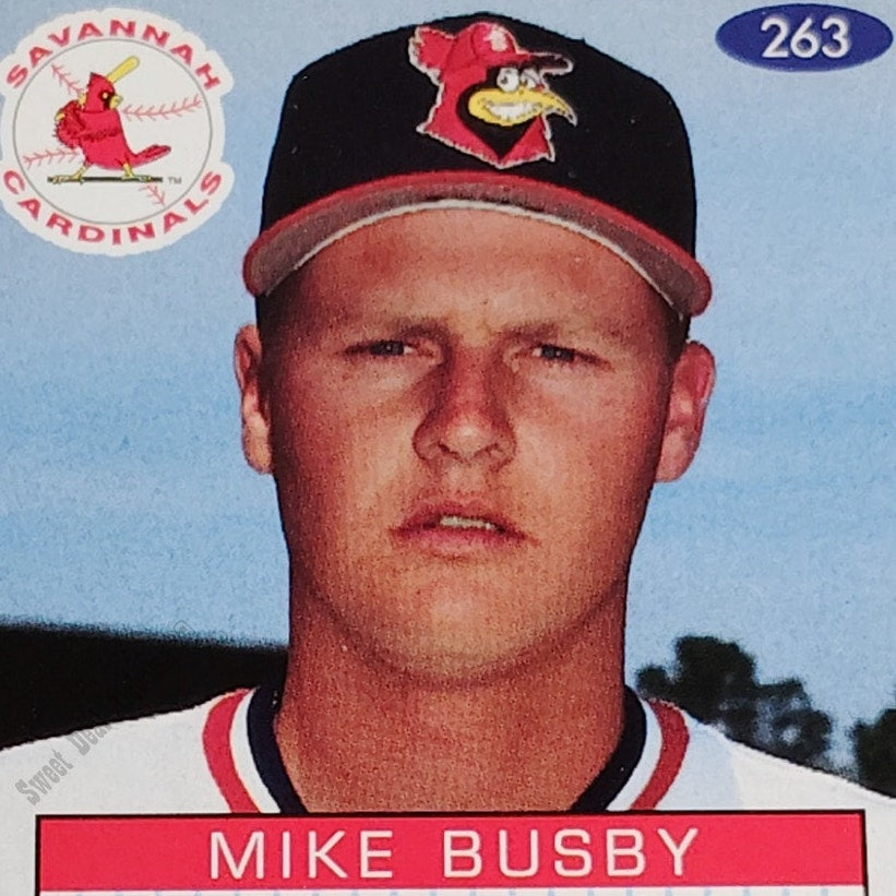 Mike Busby, Savannah Cardinals, #263, 93-94 Fleer Excel Minor Leagues