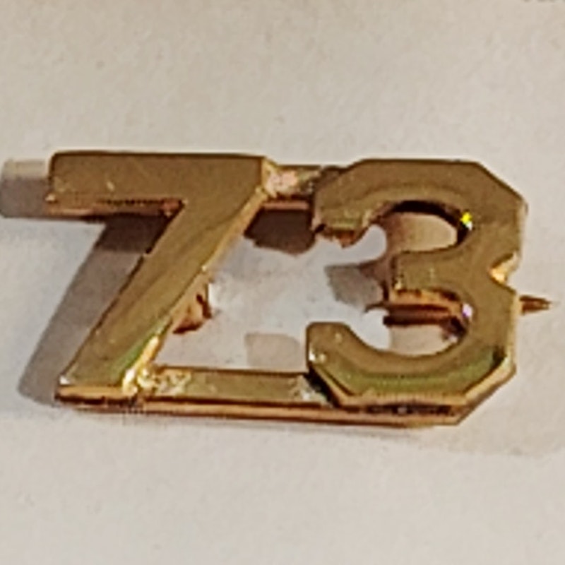 Early/Mid 1900s Brass C-Clasp "73" Collar Devices 3/8"H Hat / Lapel Pins Set