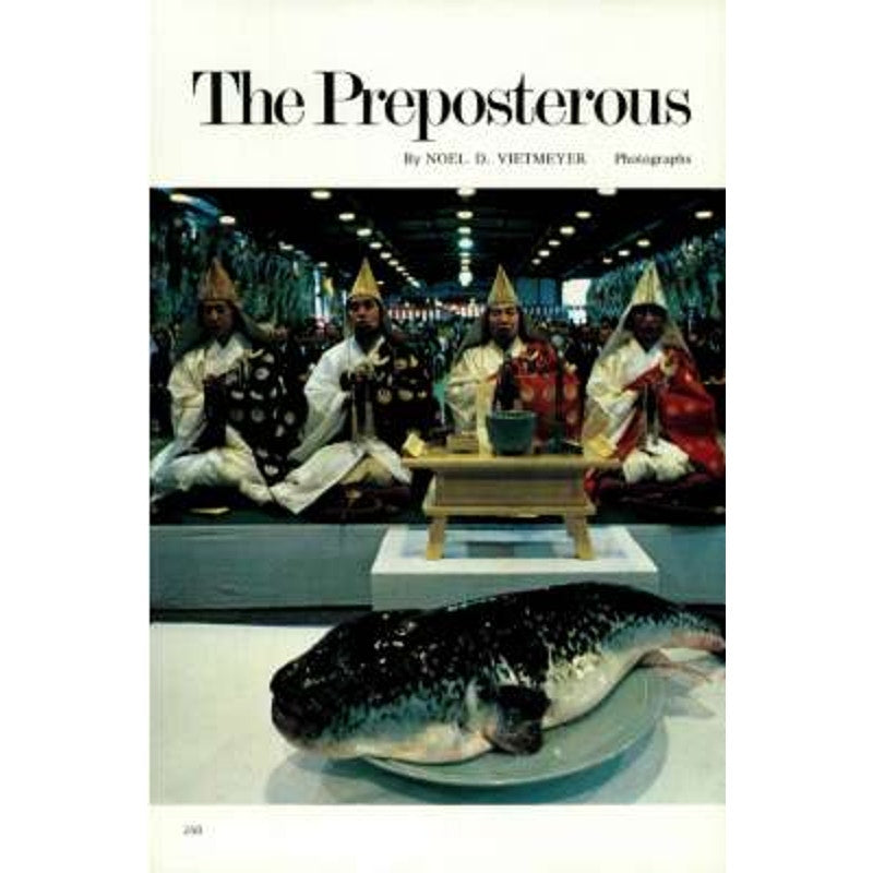 National Geographic Magazine AUG 1984, Mexico city, Colorado, Whales, Japan ...