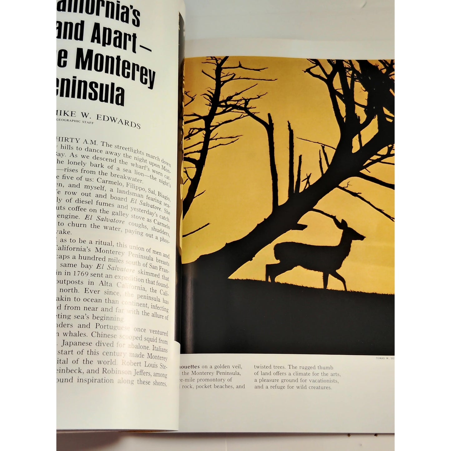 National Geographic – November 1972, Venice, Galápagos, Monterey Peninsula