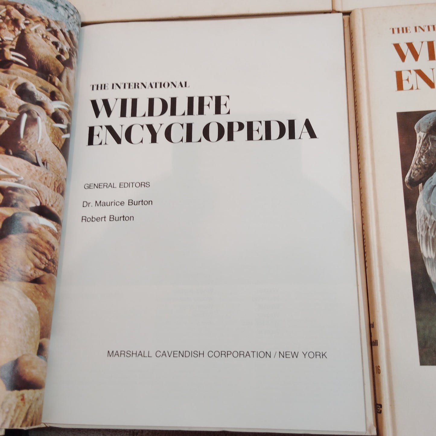 1970 International Wildlife Encyclopedia 20‑Volume Set Burton Vintage Estate