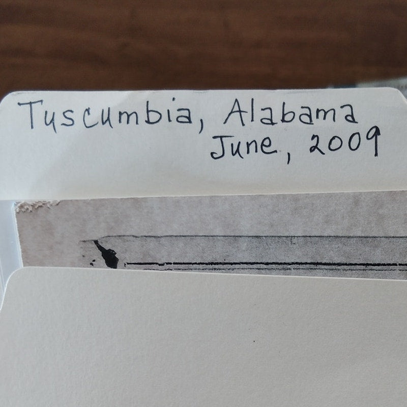Tuscumbia, Alabama 2009 Travel Ephemera Collection - Vintage Memorabilia Lot