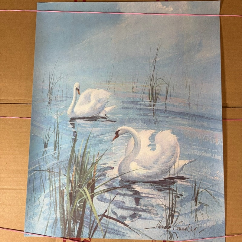 Vintage Howard Connelly "Swine" Poster Print - White Swans Pond Art 20x16"