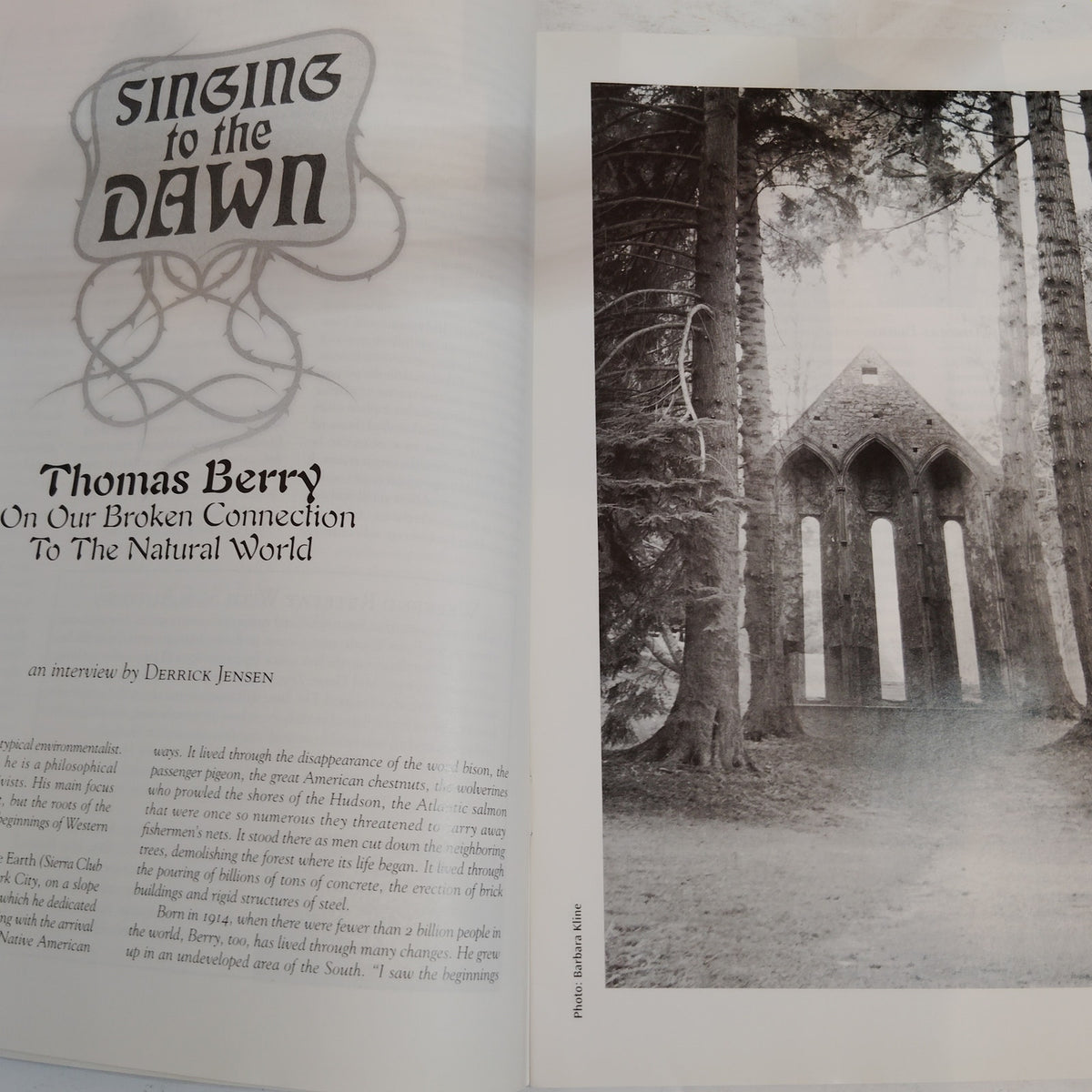 The Sun Magazine - May 2002, Issue 317 - "Singing to the Dawn" - Vintage