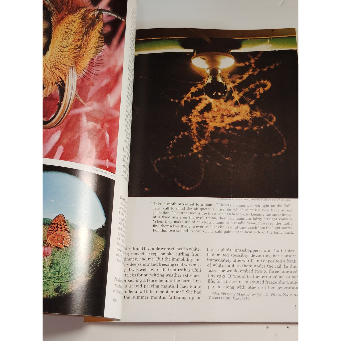 National Geographic – April 1968, Netherlands, Vietnam, Portuguese Fishermen