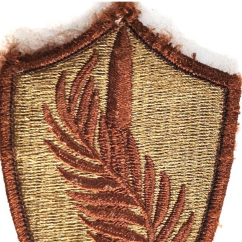 Vtg US Army CENTCOM Patch Desert Subdued 3‑1/2" × 2‑1/8" Hook Back, Embroidered