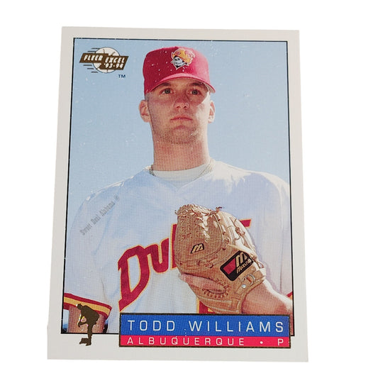 Todd Williams, Albuquerque Dukes, No. 221,  93-94 Fleer Excel Minor Leagues