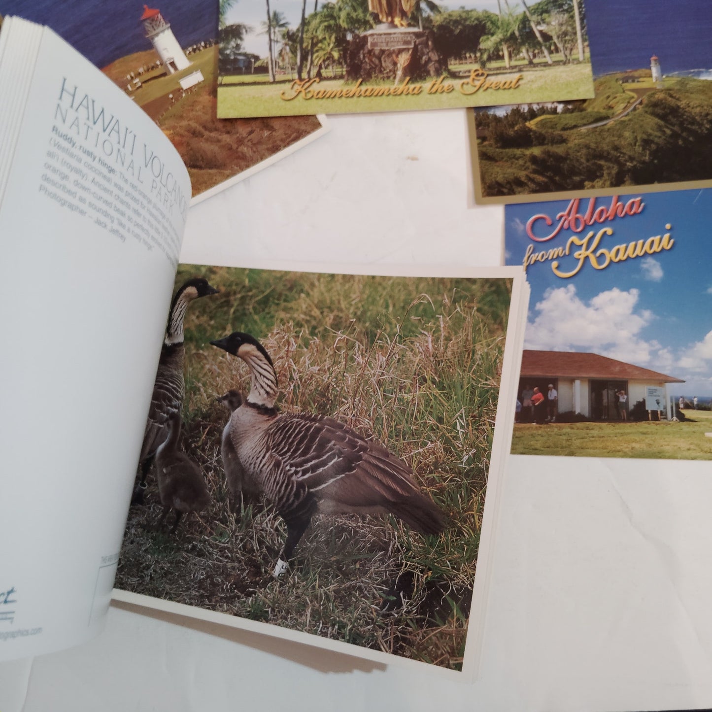 Vintage 2008 Hawaii Postcard Collection & Souvenir Postcard Book - 33 Unique Pcs