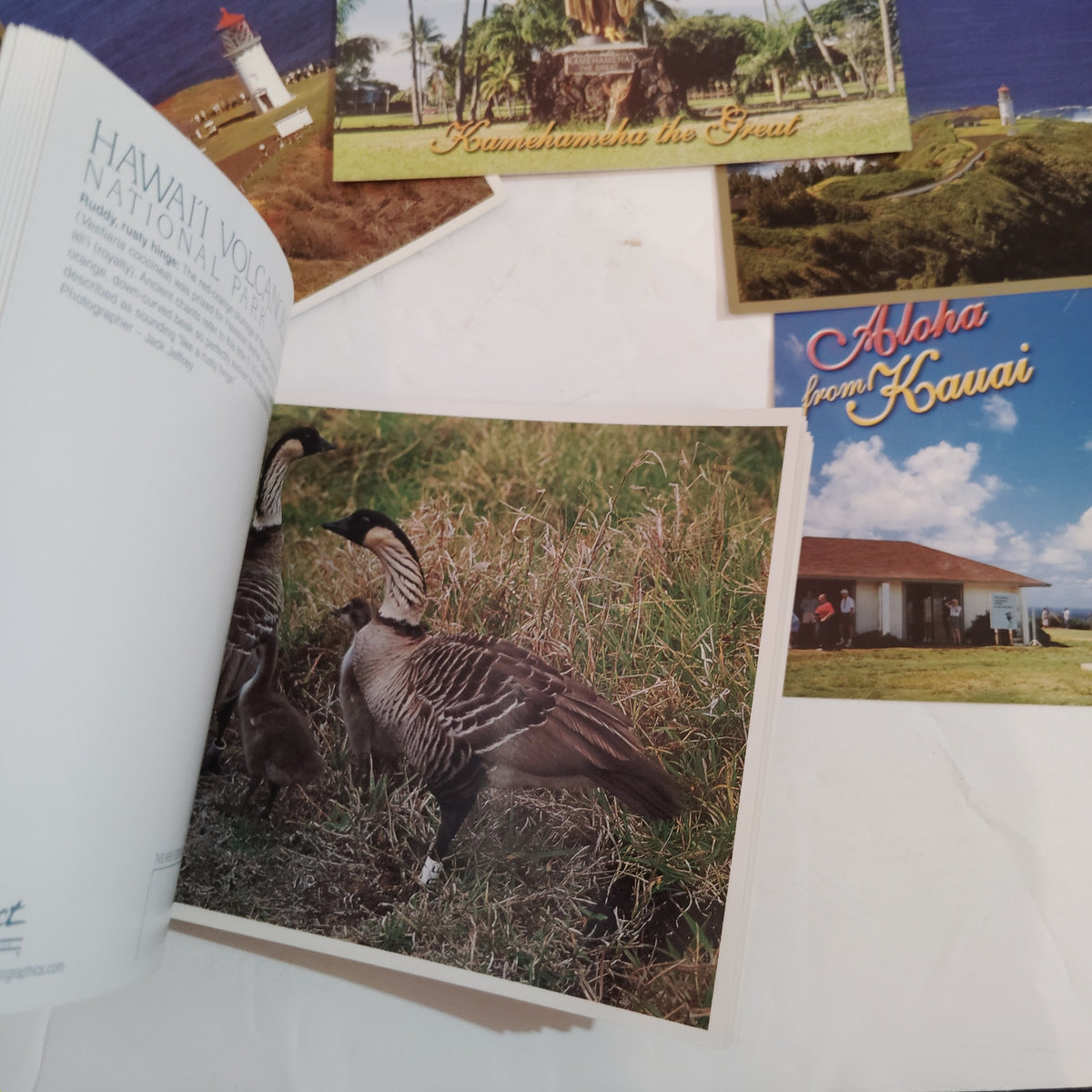 Vintage 2008 Hawaii Postcard Collection & Souvenir Postcard Book - 33 Unique Pcs