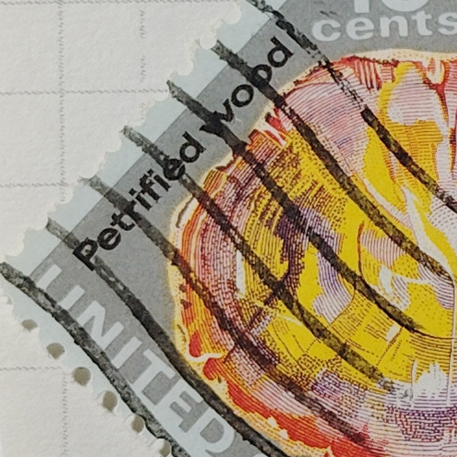 1974 US Postage Stamp Scott #1538 10c Mineral Heritage Petrified Wood Canceled
