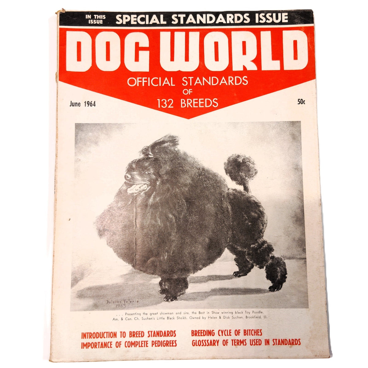 Dog World Magazine June 1964 Special Standards Issue 132 Breeds Vintage