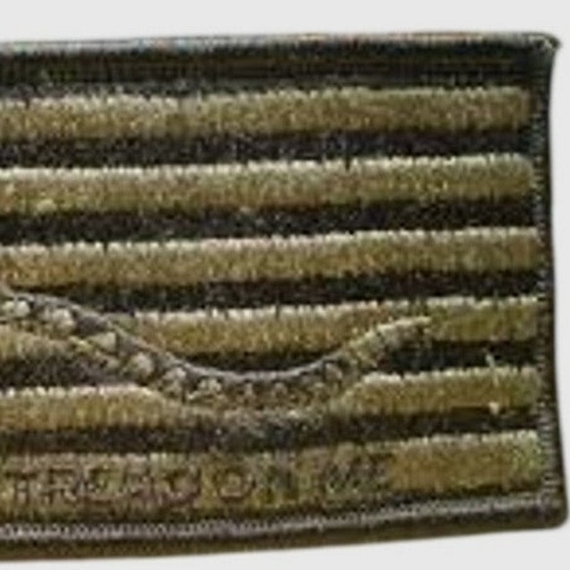 US Navy First Navy Jack Patch Subdued “Don’t Tread On Me” Hook Back 4" × 2‑1/8"