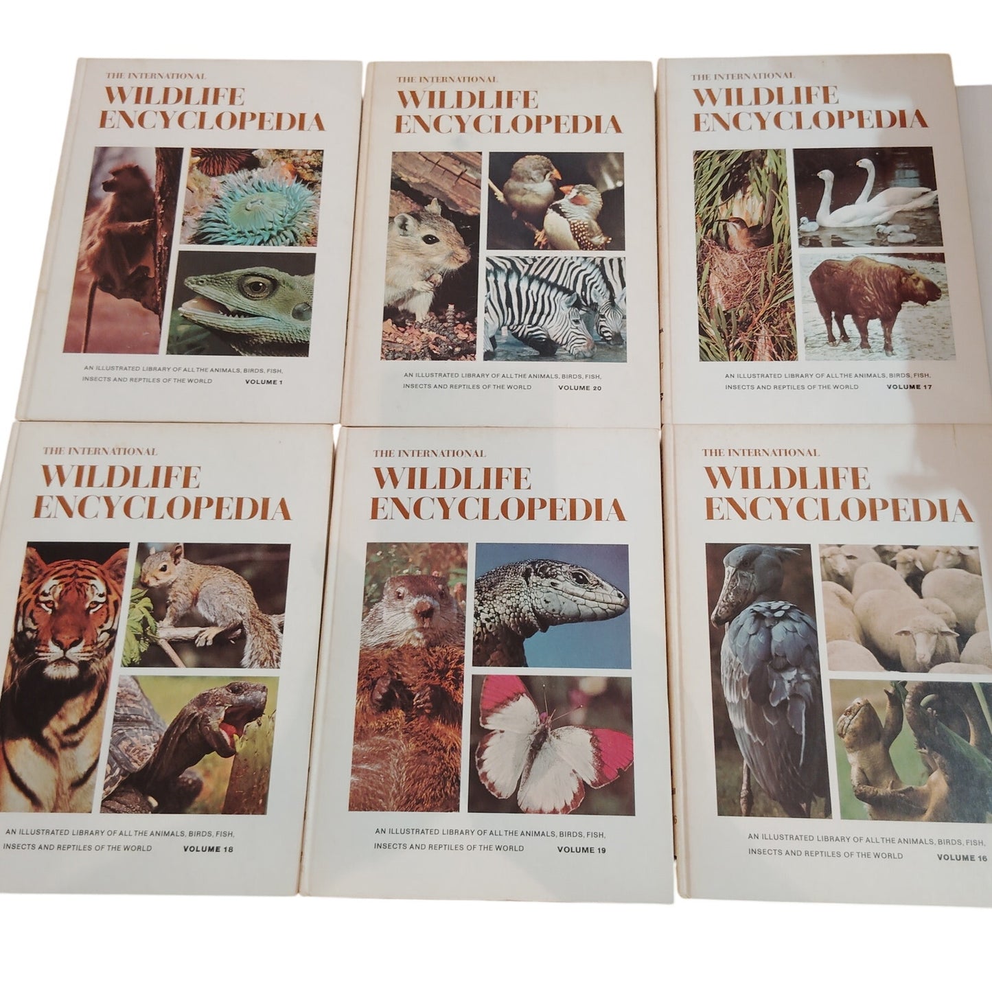 1970 International Wildlife Encyclopedia 20‑Volume Set Burton Vintage Estate