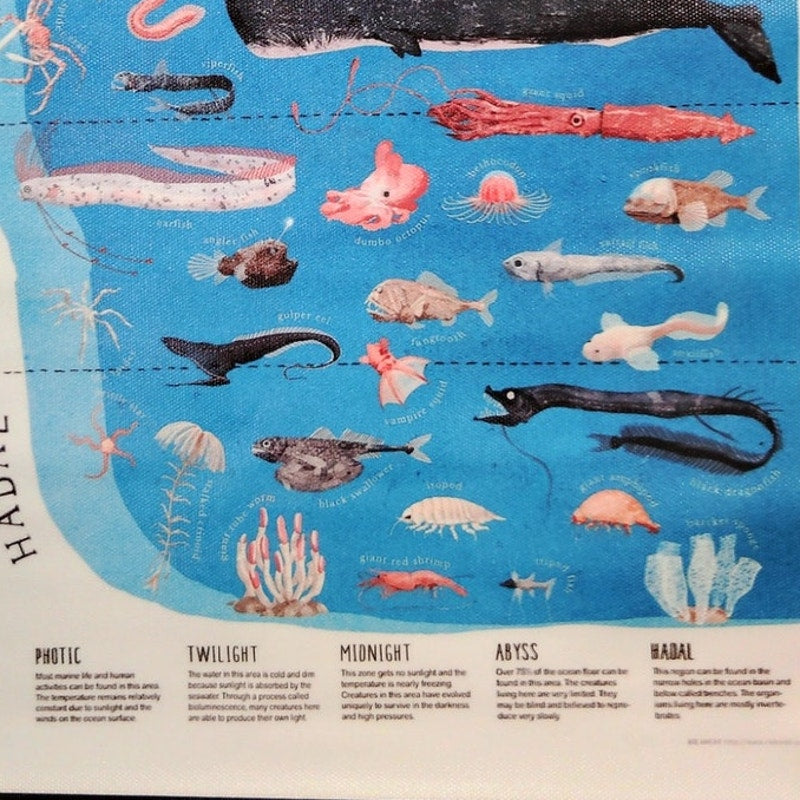 The Layers Ocean Zones Canvas Print Poster – 12x18" Unframed, Marine Biology Educational Wall Art